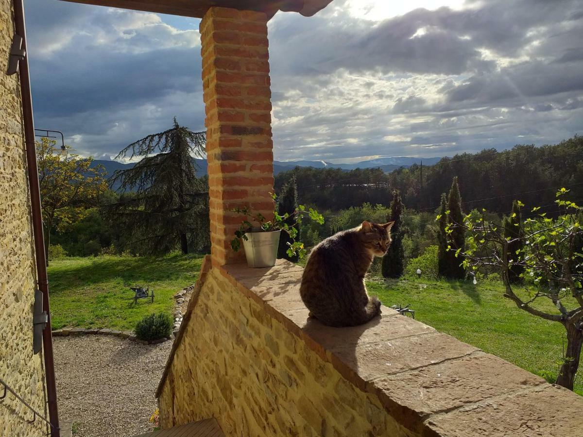 Hotel Le Terre Di Caprano Città di Castello Exterior foto